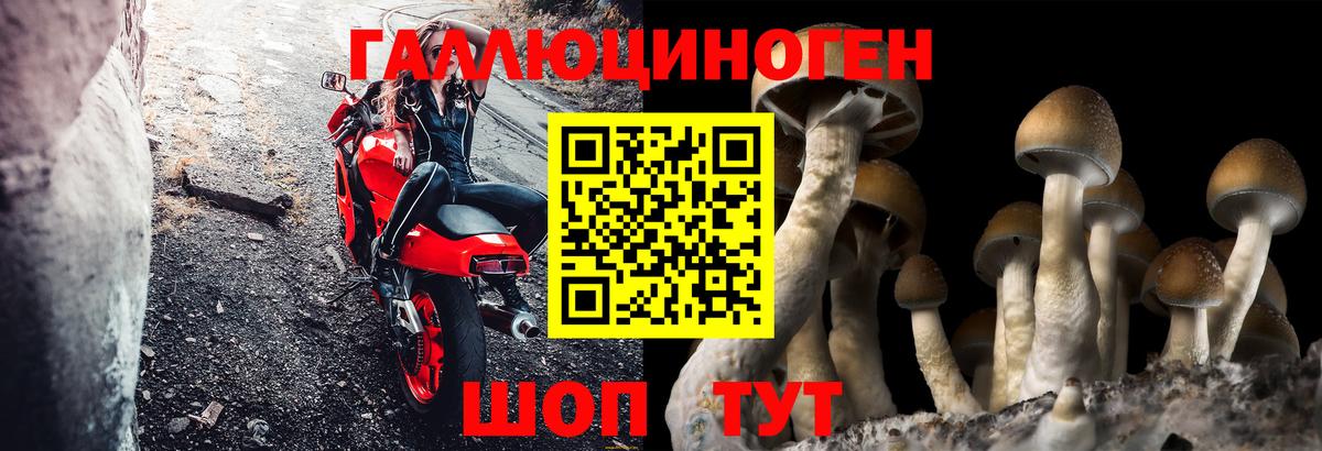 Псилоцибиновые грибы GOLDEN TEACHER Краснознаменск